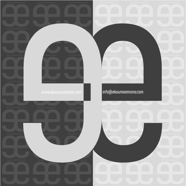Contact informaticien développeur 