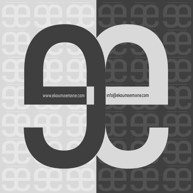 Contact informaticien développeur 
